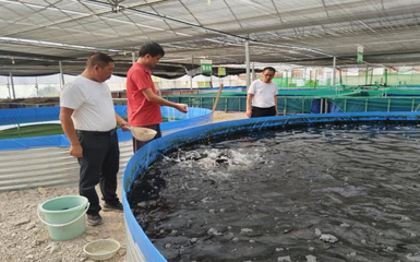 省科技特派員到雷山縣調(diào)研指導(dǎo)水產(chǎn)養(yǎng)殖發(fā)展工作