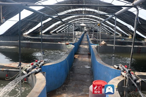 水產養殖尾水 零直排 助推水產養殖綠色健康發展