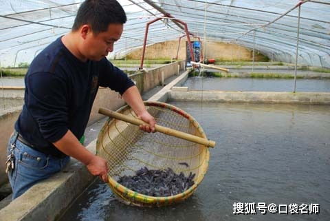 這些大學專業(yè)真的存在 葡萄干晾曬 水產(chǎn)養(yǎng)殖 你聽過幾個