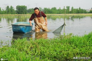 投資水產(chǎn)養(yǎng)殖,這些風險你得規(guī)避