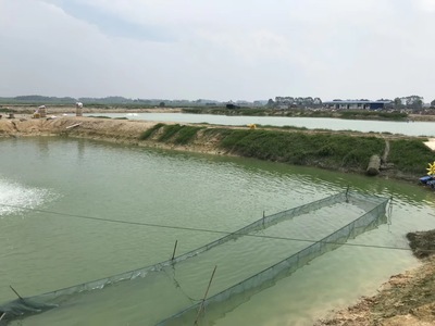 水產(chǎn)養(yǎng)殖用什么鈣