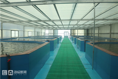 淄博市畜牧漁業(yè)服務中心積極開展科技下鄉(xiāng)活動