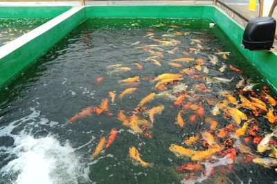 百企連百村 | 松江:沒(méi)有圍墻的“園區(qū)”,如何以高起點(diǎn)開(kāi)拓鄉(xiāng)村產(chǎn)業(yè)振興新局面