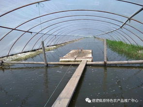 云南德宏州農(nóng)業(yè)局組織技術(shù)團(tuán)隊(duì)赴上海學(xué)習(xí)特種水產(chǎn)養(yǎng)殖成效明顯