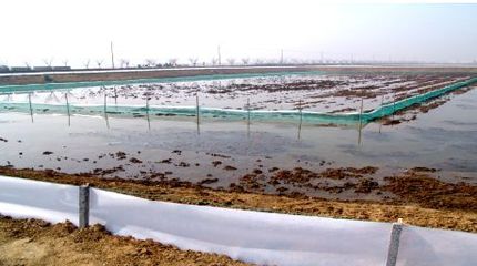 河蟹養殖在3月份應該準備哪些工作?