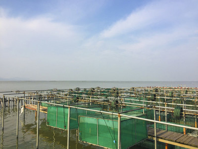 上海豫園古建筑,上海老飯店