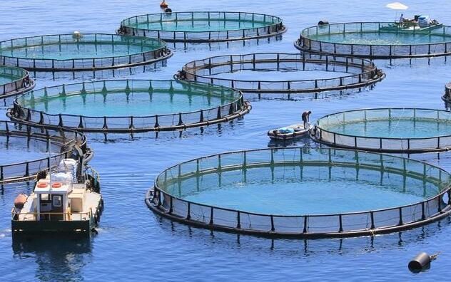 水產養殖5大商業模式,每一個模式國家都扶持
