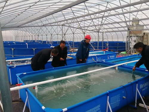 云南曲靖宣威供電局緊急 送電 助推客戶新型水產養殖致富不受影響