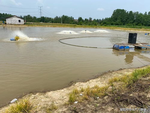 家里做水產養殖,高考分數已公布,現在就接班還是先去上大學