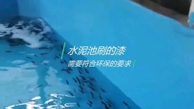 工廠化高密度水產養殖,鐵倉刀刮布高位池投放魚苗,喜歡的關注