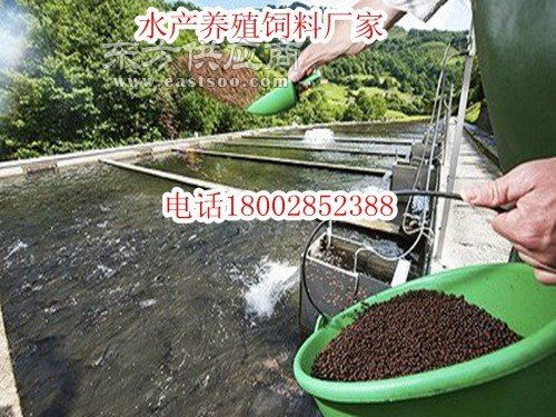 廣安鄰水無土泥鰍養殖投喂飼料淡水魚飼料泥鰍水產飼料圖片