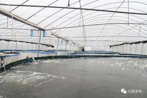 水產養殖新模式 綠色發展新路子